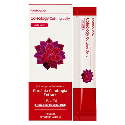 FOODOLOGY Coleology Cutting Jelly 250g (25g x 10 sticks)